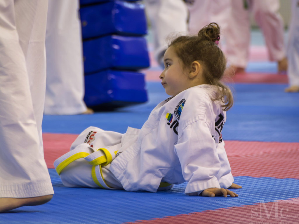 DIA DEL TAEKWONDO ABRIL 2017_3990.JPG